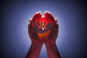 embryo silhouette in woman hand