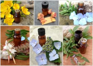 composition d'huiles essentielles de fleurs
