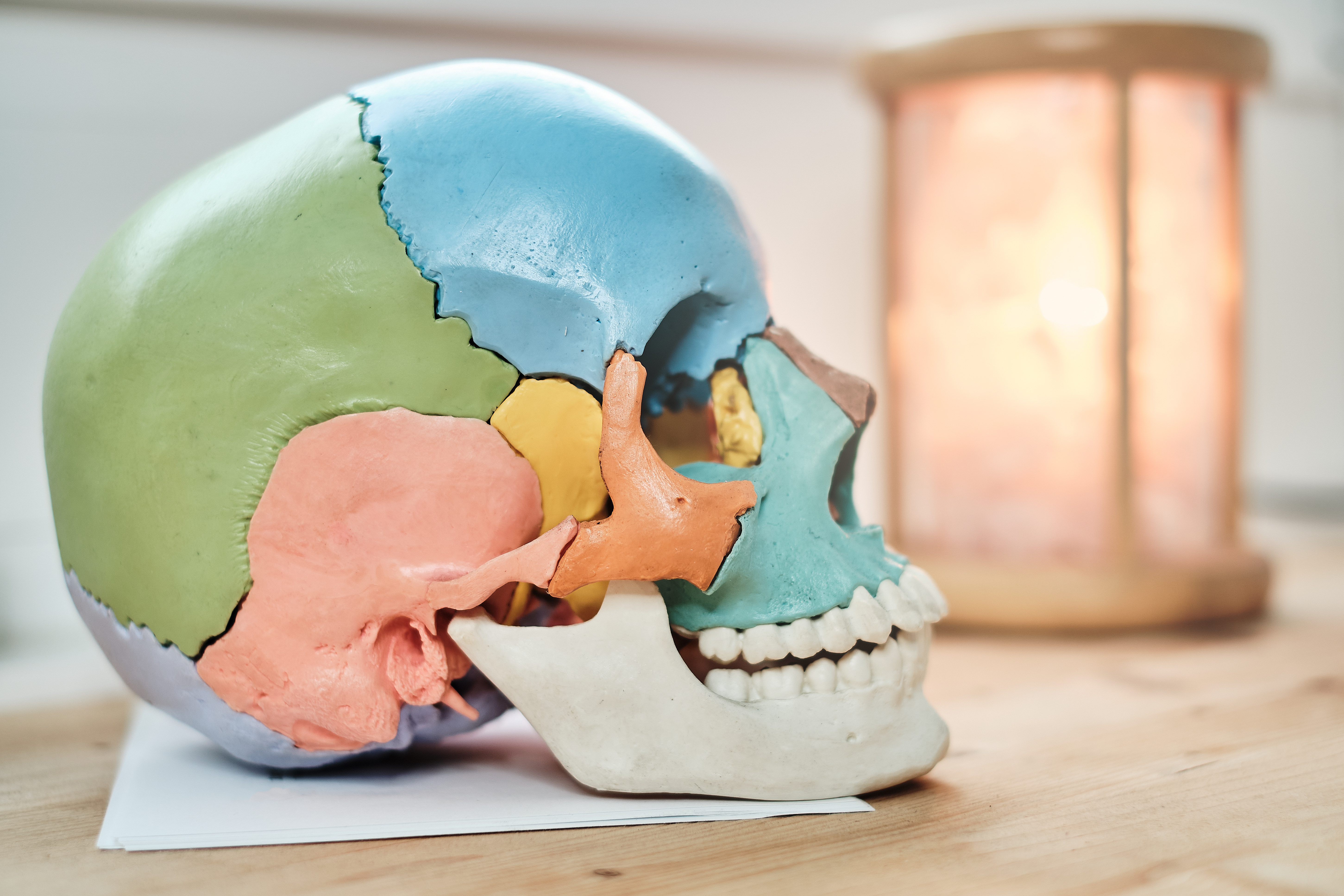 Colorful skull with a light in background in a physiotherapy