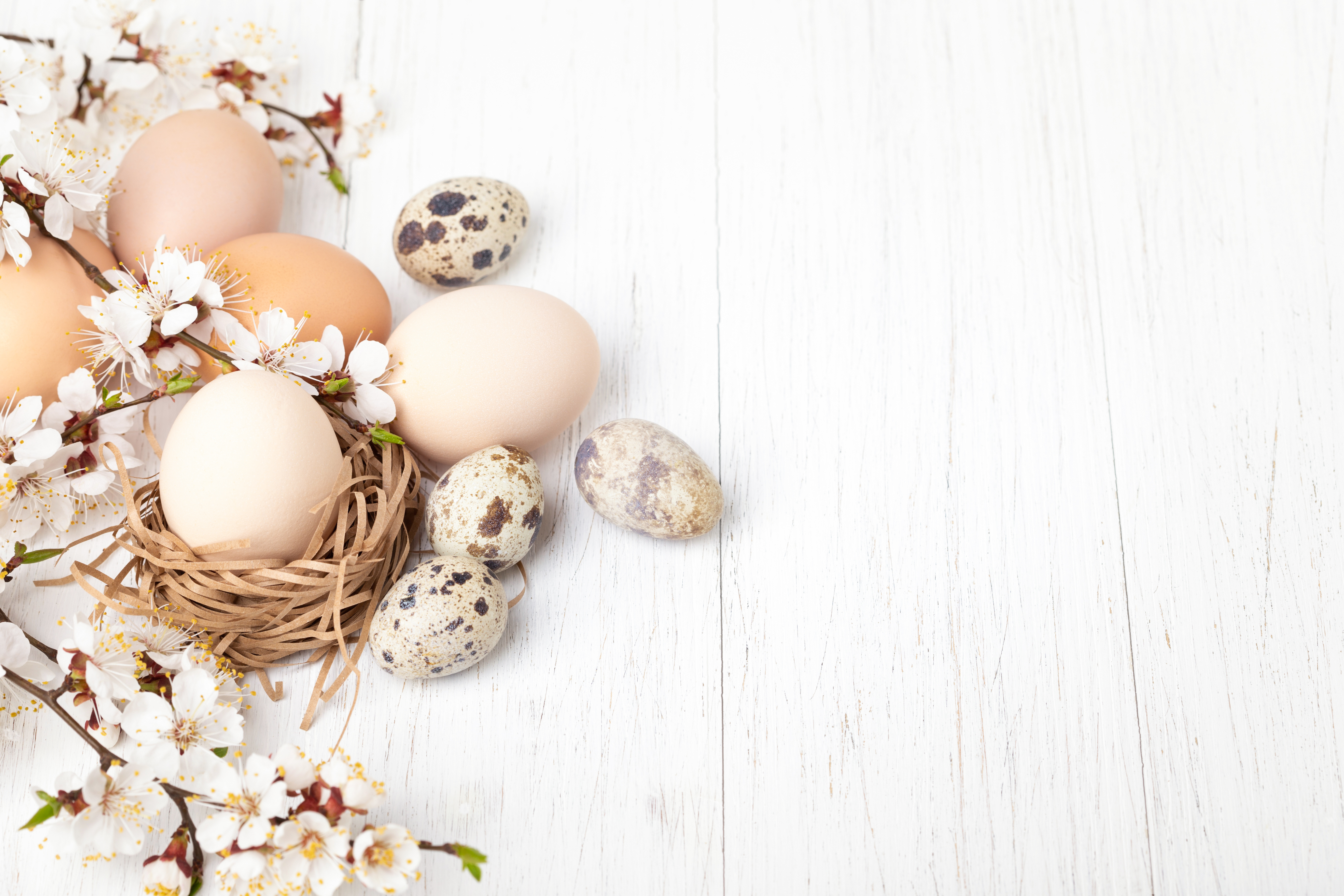 Nest with eggs decorated spring flowers on white wooden background. Easter card with copy space.