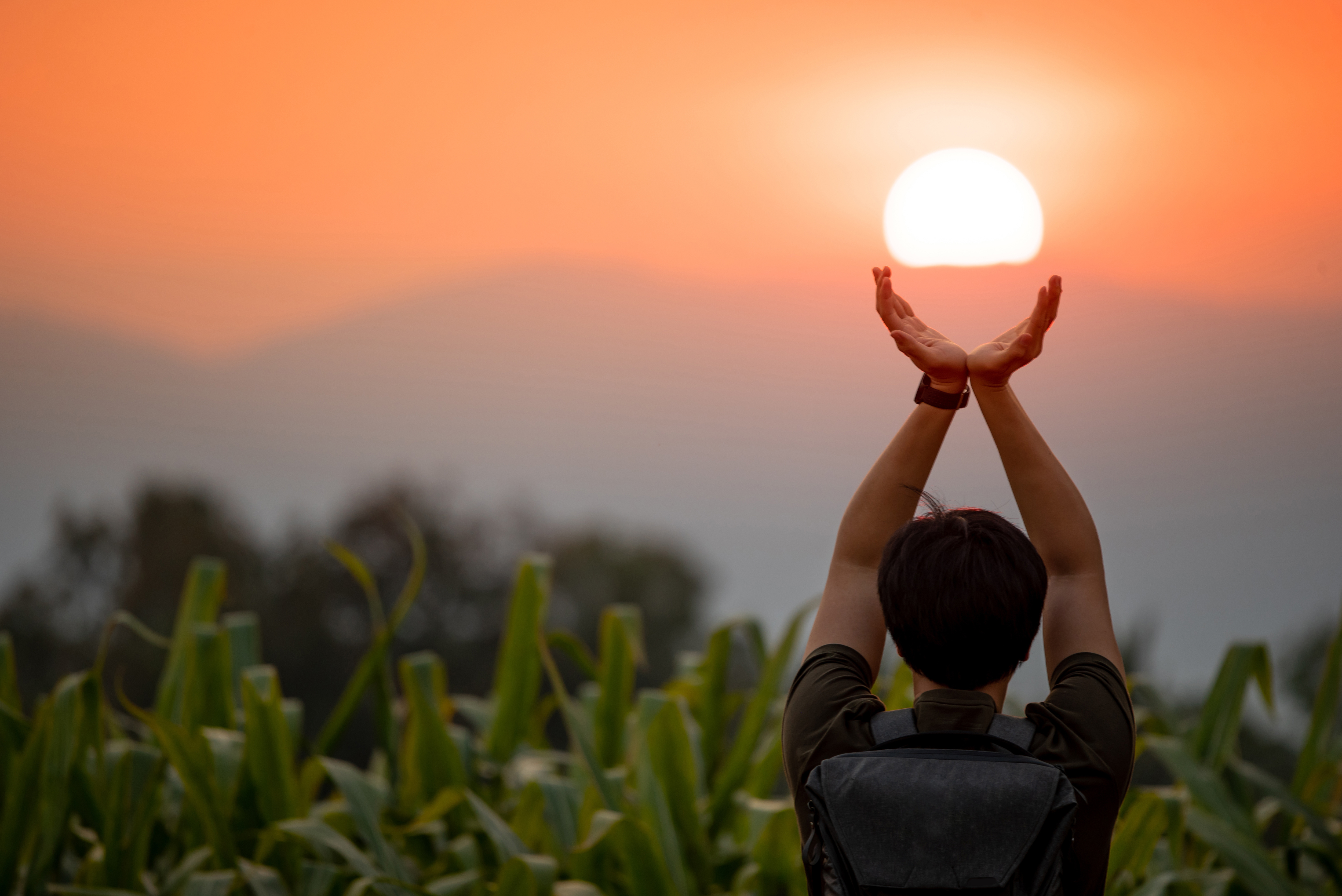 Asian man in corn field raising his arms holding the sun at sunset in summer solstice day. Hope and pray. Achievement concept