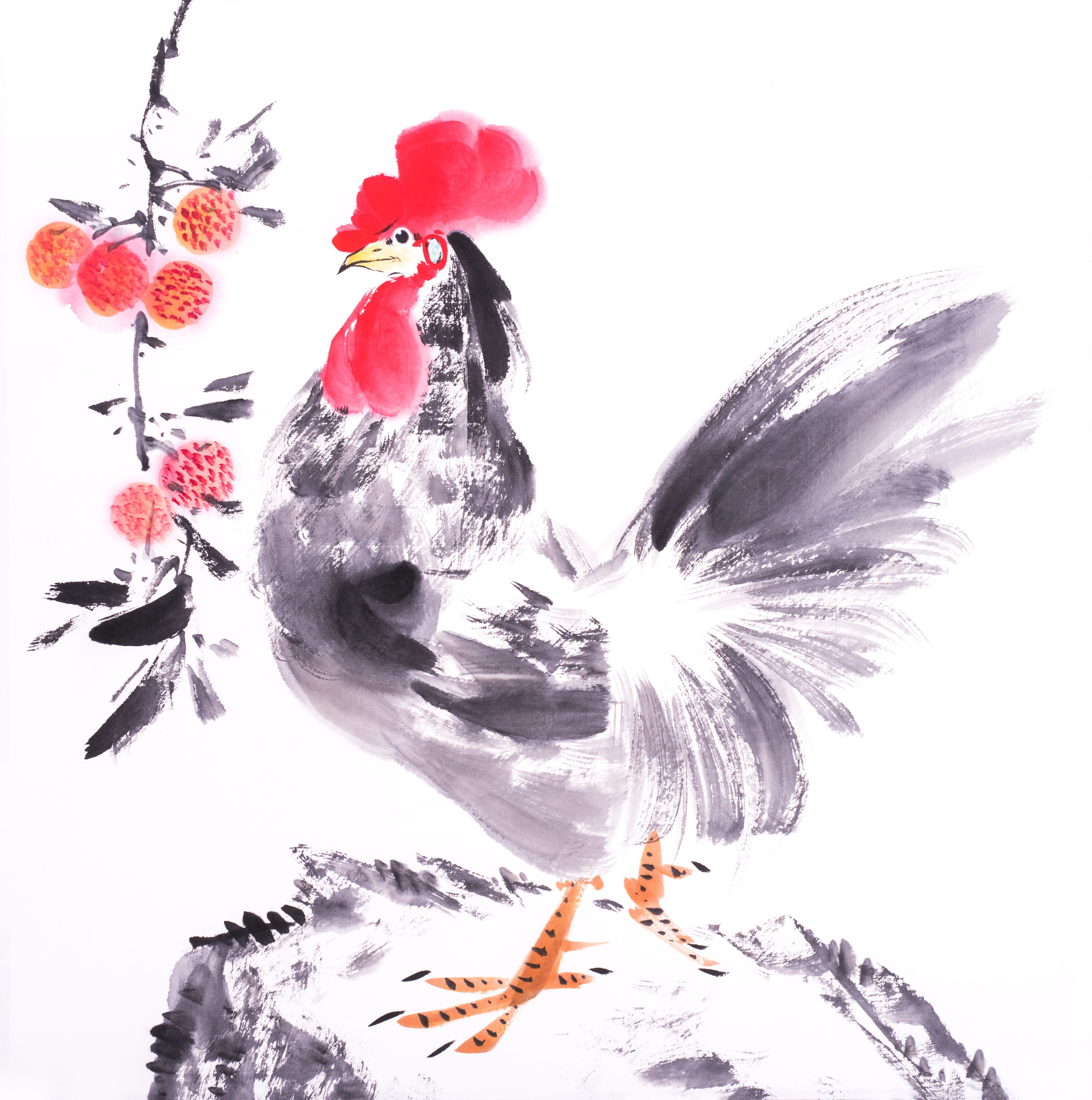 rooster and Litchi drawn in chinese painting style,mean good bless